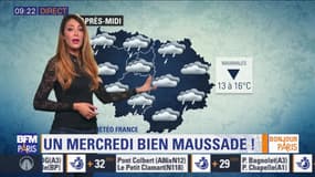 Météo Paris Île-de-France du 10 avril: Un mercredi bien maussade !