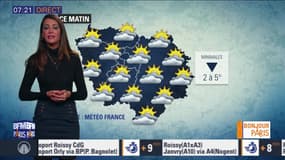 Météo Paris Île-de-France du 15 janvier: Des températures agréables malgré un ciel gris