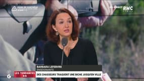 "Ils chassent en pick-up, bientôt au bazooka !" La colère de Barbara Lefebvre contre les chasseurs