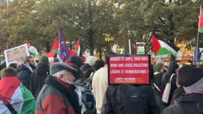 Des personnes réunies ce samedi 25 novembre lors de la manifestation pro-palestinienne à Lyon, selon la préfecture.