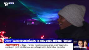 Le spectacle "l’Odyssée Lumineuse" du parc Floral, propose d'admirer des aurores boréales sans bouger de Paris