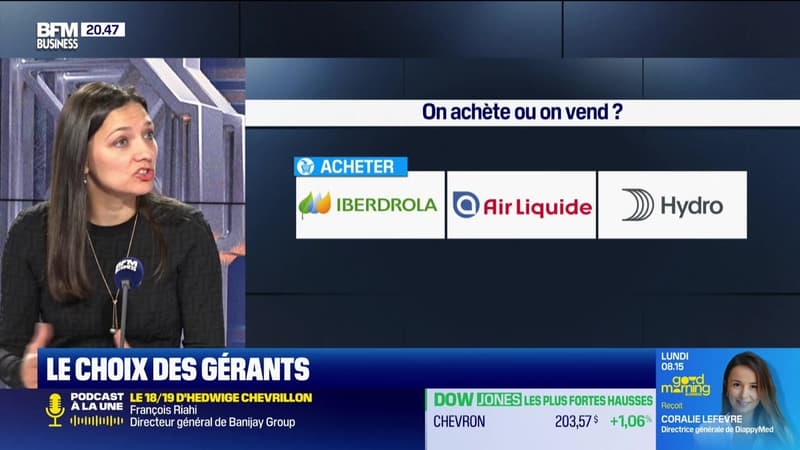 On achète ou on vend ? : Iberdrola, Air Liquide, Hydro, et Française De l'Énergie - 20/03