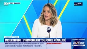 Le déchiffrage : Investisseurs, un attentisme croissant - 20/11