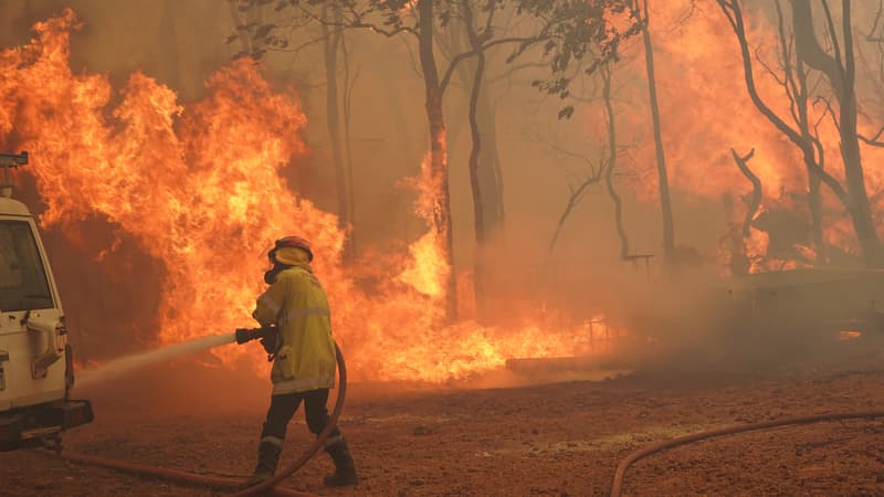 Un pompier tente d'éteindre un feu à Wooloroo, près de Perth, le 2 février 2021. 