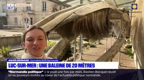 Balades Normandes du samedi 9 mars 2024