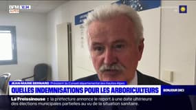 Gel dans Hautes-Alpes: quelles indemnisations pour les arboriculteurs? 