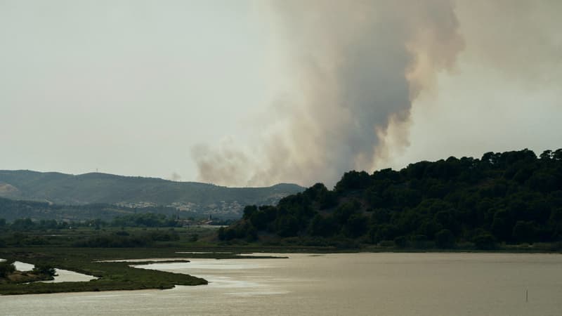De la fumée visible sur le massif des Corbières lors d'un incendie, le 29 juin 2025, à Bizanet, dans l'Aude