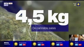 Var: la police nationale saisit 4,5 kg de cannabis après le démantèlement d'un trafic camouflé dans un food truck