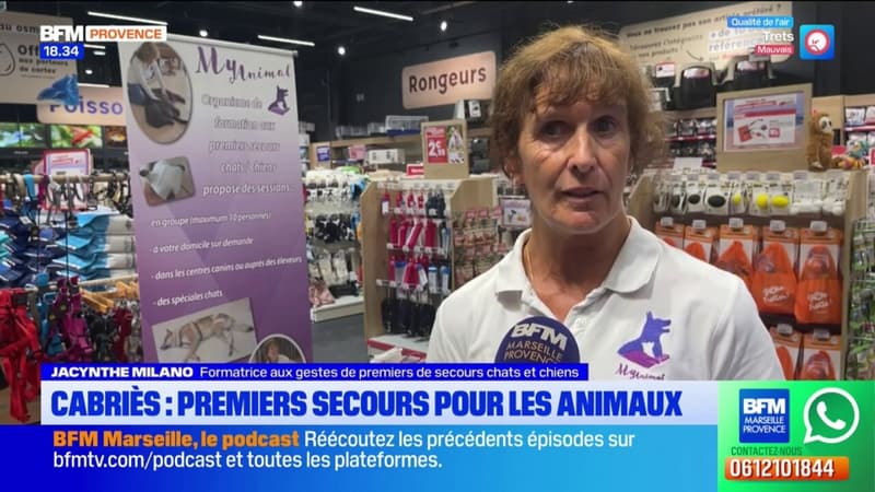 Cabriès: une formation pour secourir des animaux de compagnie