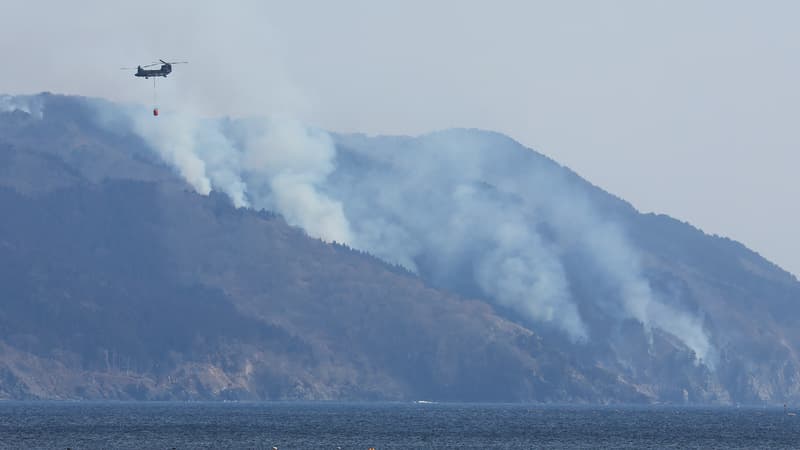 Japon: des milliers d'habitants évacués dans le nord du pays, ravagé par des feux de forêts records