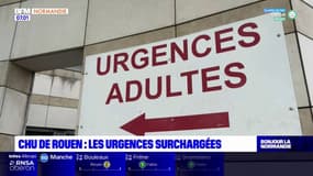CHU de Rouen: les urgences surchargées