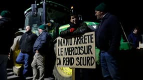 Des agriculteurs manifestent sur la nationale N118 près de Vélizy-Villacoublay (Yvelines) le 17 novembre 2024
