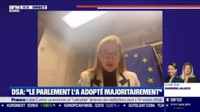 DSA : “ce qui est illégal hors-ligne le sera aussi en ligne"