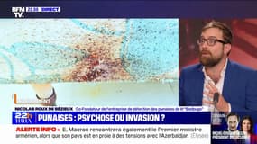 Punaises de lit: "Il y a eu une hypervigilance puisqu'il y a eu un gros zoom médiatique sur le sujet", note Nicolas Roux de Bézieux (co-fondateur d'une l‘entreprise de détection de punaises de lit)