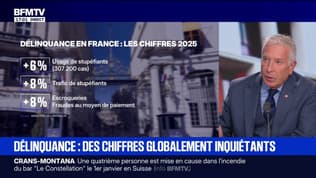 Chiffres de la délinquance: "On met le délinquant au cœur du dispositif et on ne s'occupe qu'après des victimes", pointe Philippe Ballard, porte-parole du RN
