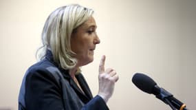 Marine Le Pen en meeting le 1er février 2014.