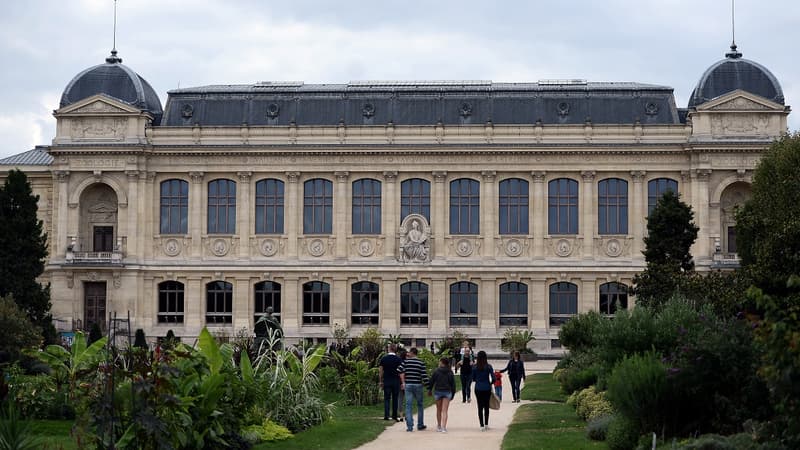 Plus de 2,3 millions de personnes ont visité le Jardin des Plantes l'an dernier