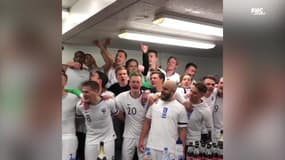 La folie des Finlandais dans les vestiaires pour leur première qualification à l'Euro 