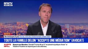 Succession d'Alain Delon: concernant Ari Boulogne, "il faudra faire la place pour un quatrième", souligne maître Christophe Ayela, avocat et exécuteur testamentaire d'Alain Delon 