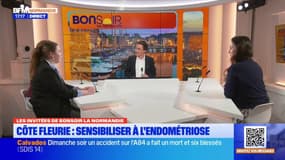 Blonville-sur-Mer: une journée dédié à l'endométriose ce samedi