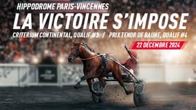 Le Critérium Continental et Prix Ténor de Baune ont lieu ce dimanche 22 décembre à Vincennes
