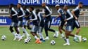 Les Bleus
