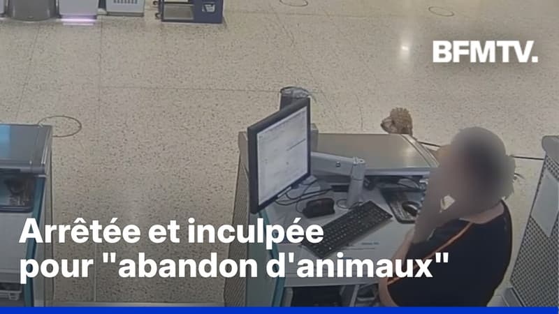 Pour ne pas rater son vol, une Américaine abandonne son chien d'assistance à l'aéroport de Las Vegas