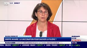 Marie-Pierre Pé (CIFOG) : Grippe aviaire, la vaccination pour sauver la filière ? - 10/10