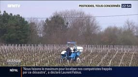 Pesticides : la famille d'un viticulteur décédé porte plainte