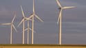 La branche "énergies nouvelles" d'EDF aux Etats-Unis va exploiter un important parc éolien pour le compte de la multinationale Procter&Gamble (image d'illustration)