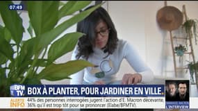 Box à planter, pour jardiner en ville