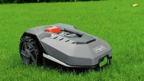 Votre pelouse n'aura jamais été aussi belle qu’avec ce robot tondeuse, son prix chute enfin sur ce site
