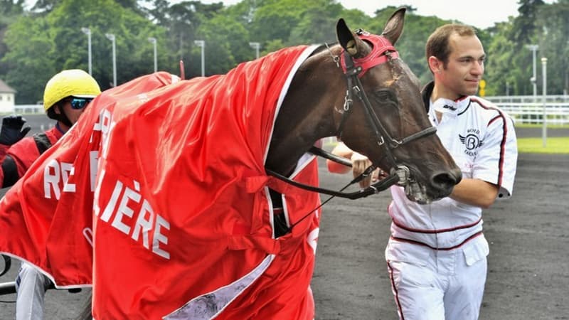 Bold Eagle s'impose dans la Breeders Crown au Canada