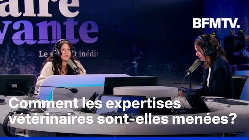 Affaire Elisa Pilarski: comment les expertises vétérinaires sur les chiens sont-elles menées?