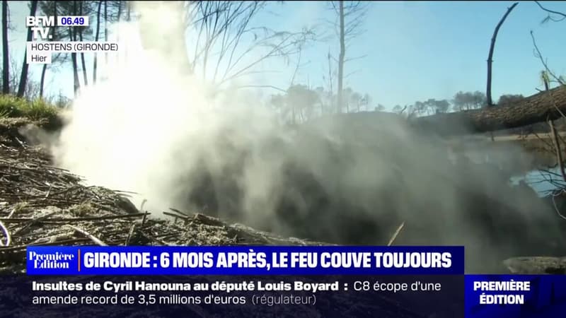 Six mois après les incendies en Gironde, le feu couve toujours... sous terre