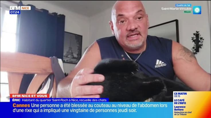 Éric qui recueille des chats dans le quartier Saint Roch nous donne des nouvelles dans BFM Nice et vous