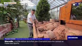 Passions Provence du 19 novembre - Découverte du village des totues à Carnoules