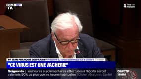 Story 3 : "Ce virus est une vacherie", Pr Jean-François Delfraissy - 15/04