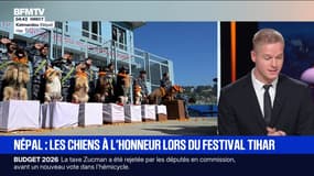 Le break du 21 octobre