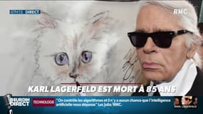 Mort de Karl Lagerfeld: sa chatte Choupette va hériter de sa fortune (ou presque)