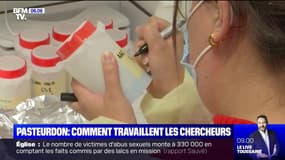 Comment travaillent les chercheurs de l'Institut Pasteur ?