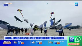 20 baleines dans le ciel: record battu à Berck-sur-Mer