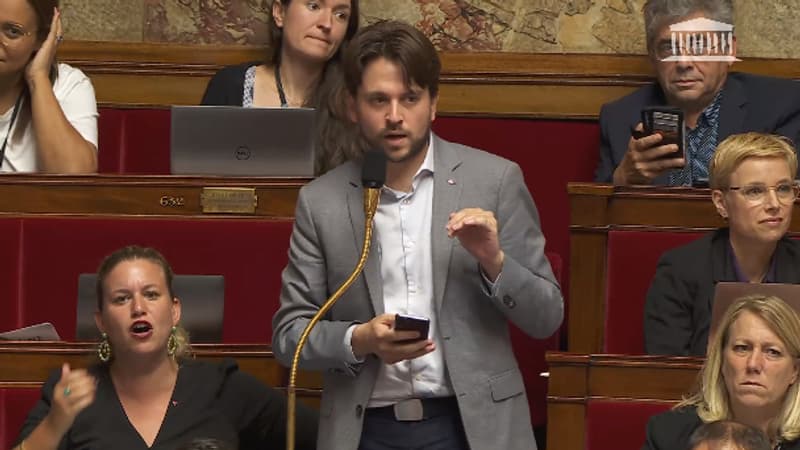 A l'Assemblée, un insoumis qualifie les députés RN de 