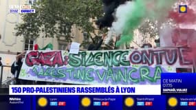 Lyon: une manifestation en soutien à la Palestine malgré l'interdiction