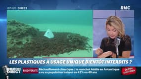 Dupin Quotidien : Les plastiques à usage unique bientôt interdits ? - 30/10