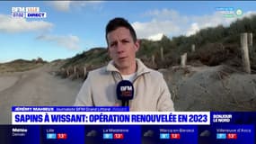 Pas-de-Calais: la commune de Wissant renouvelle son opération de recyclage des sapins pour empêcher l'érosion de la digue