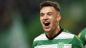 Pedro Goncalves
