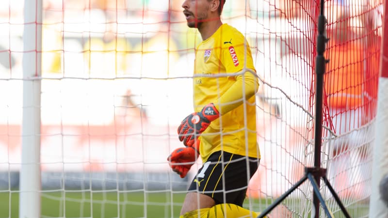 Ron-Robert Zieler