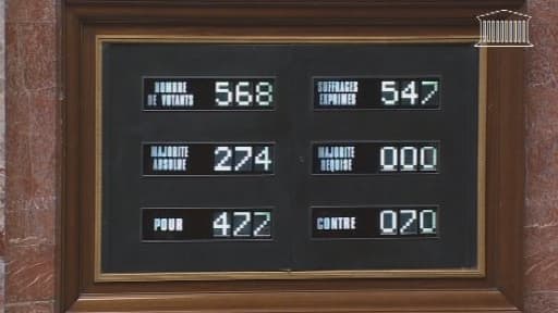 Du côté des députés écologistes, pas de surprise : trois d'entre eux seulement ont voté pour.