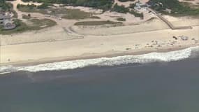 Deux enfants mordus par un requin à Long Island, dans l'État de New York
